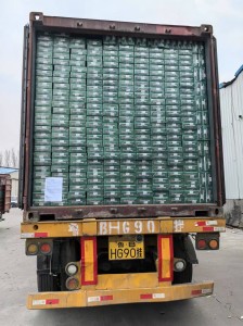 Sustainable construction South Asia